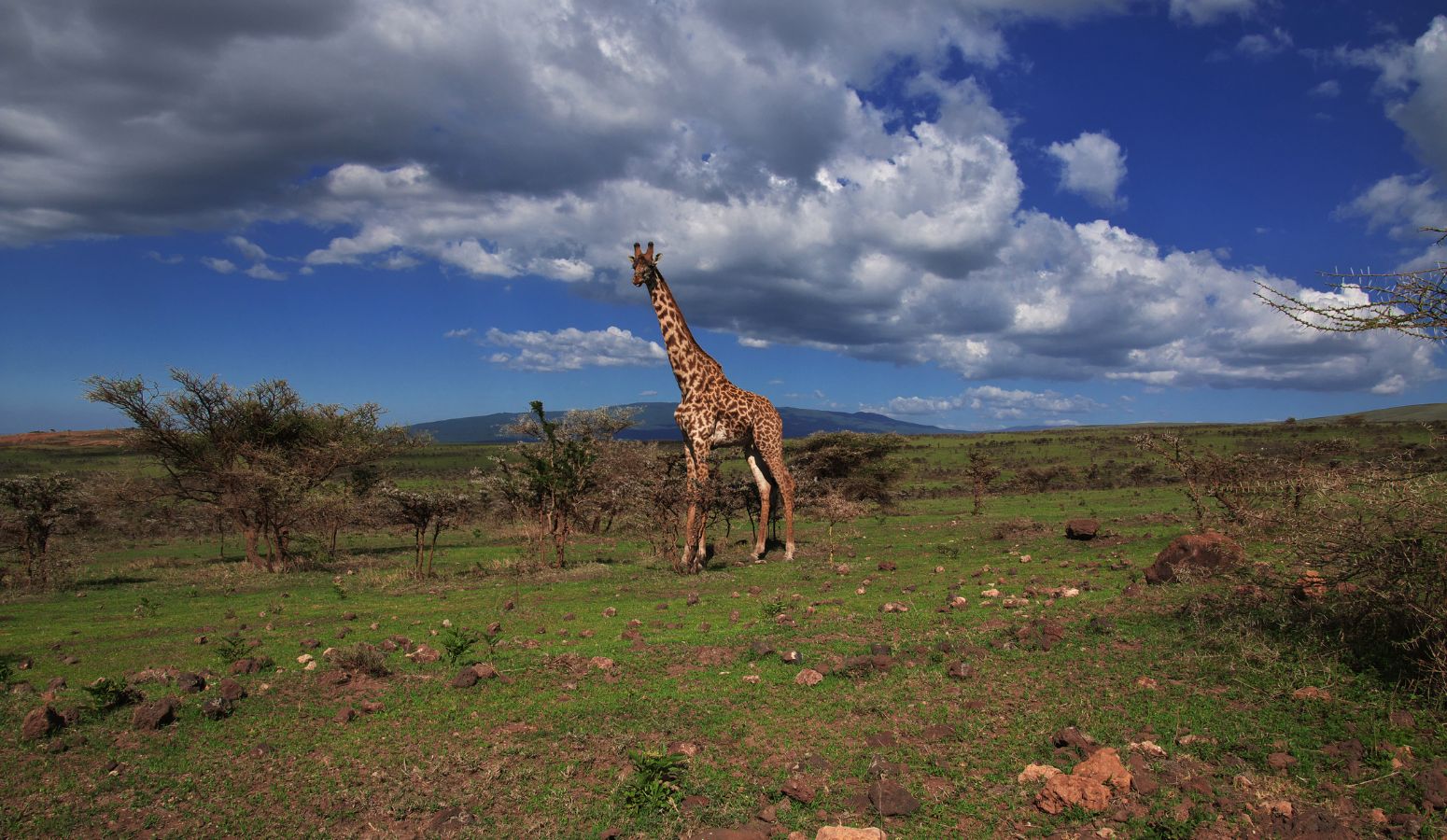 viaje seniors kenia safari nairobi lago